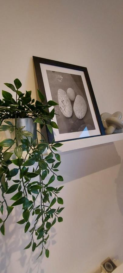 Chavasse L15Dx Appartement Liverpool Buitenkant foto